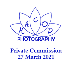 Cordiner Family portfolio