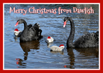 CHRISTMAS CARDS - Including new cards for 2026