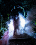 CHARLOTTE & SWANN portfolio