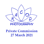 Asim Headshots portfolio