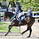 CCI International Sections - Click To Enter