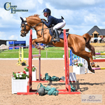 BS Ponies, Club and Schools May Bank Holiday Weekend - Click to Enter