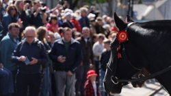 Orkney News in pictures