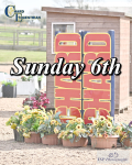 Sunday 6th - Click to View portfolio