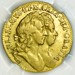 HALF GOLD GUINEA portfolio