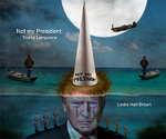 NOT MY PRESIDENT portfolio