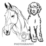 Alison Morris portfolio