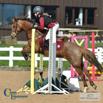 Tuesday 4th Club and Schools Showjumping = Click to View Photos portfolio