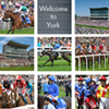 First Saturday - 22nd May 2021 portfolio