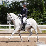 Festival of Dressage Weekend 21st to 23rd - Click to View
