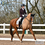 British Dressage Saturday 14th - Click to Enter