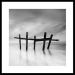 Five portfolio