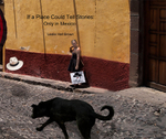 IF A PLACE COULD TELL STORIES: ONLY IN MEXICO portfolio