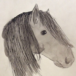 Horses/Ponies portfolio