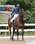 Dressage Weekend Inc BD, Quest, UnAff and RoR 20th to 22nd - Click to Enter portfolio