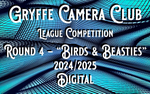 Competition 4 - BIRDS & BEASTIES portfolio