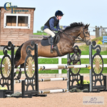 Tuesday 23rd Evening Club and Schools Showjumping - Click to View