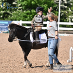 Seavington PC Show Jumping Competition Sat 17th - Click to View