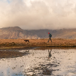 Print Photograph of the Year portfolio