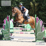 British Showjumping End of Season Show 8th to 10th Sept = Click to View Photos portfolio