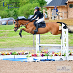 End May BS Seniors Show, 23rd to 26th - Click To View