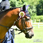 BS Summer Tour 6th to 15th = Click to View Photos portfolio
