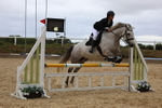 Class 14: Pony Discovery/90cm open portfolio