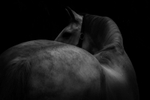 29647_IMG-20260521-WA0021_11025950286a1081cce7361250748463