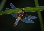 5D3_4826-2_02_web