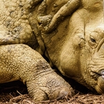 Whipsnade 18Mar26-117