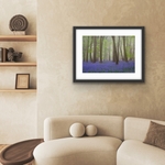 Living room scene with a framed bluebell fine art print on the wall for demonstration