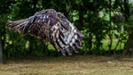 Hamerton Jul21-271
