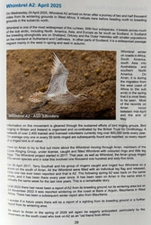 Arran bird report 2025a copy