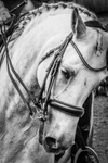 29647_IMG-20260521-WA0020_5812363026a1090c67d296950977843