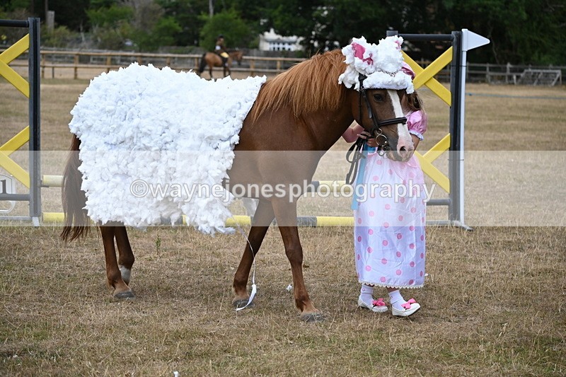 WJ6_8710 - Class 11 Fancy Dress