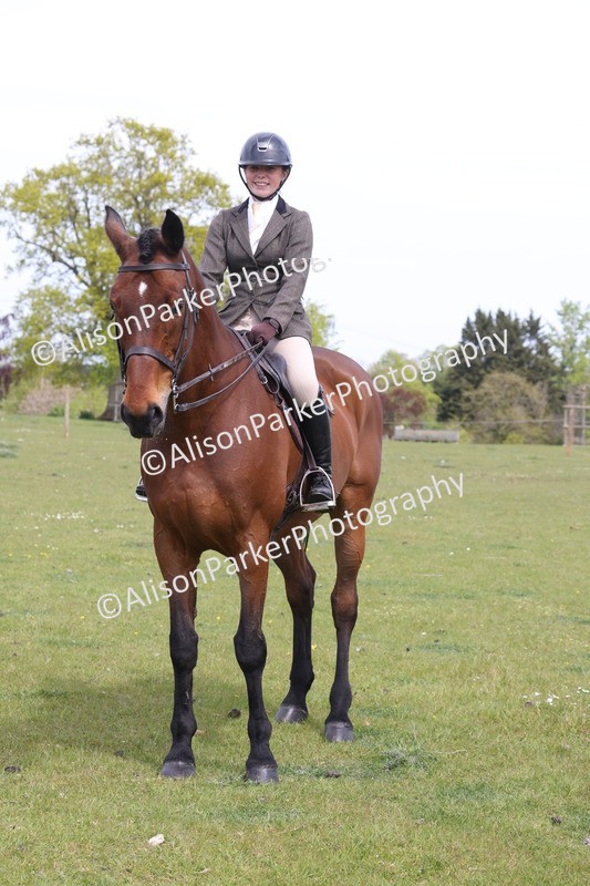20260426-4368 - Class 34 - Best Riding Horse Over 14.2hh