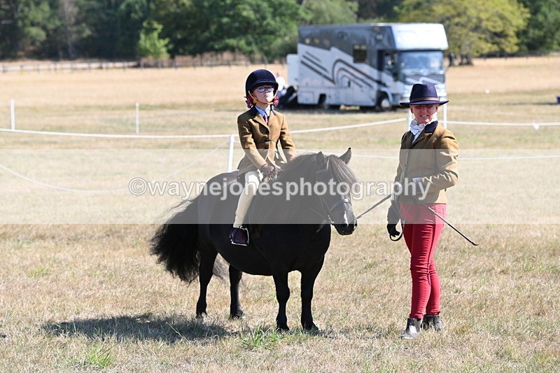 WJ6_7570 - Class 34 Judges Choice