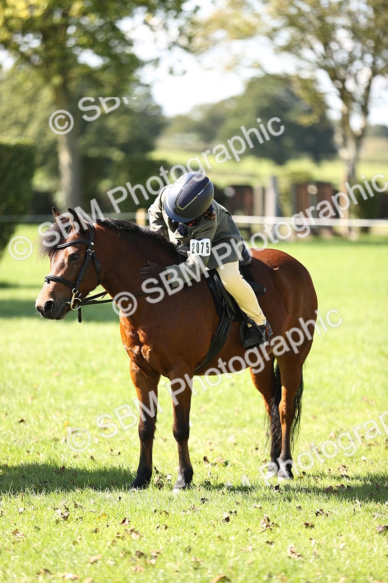 SBM_19361 - S3 - TSR Ridden Pony Showing