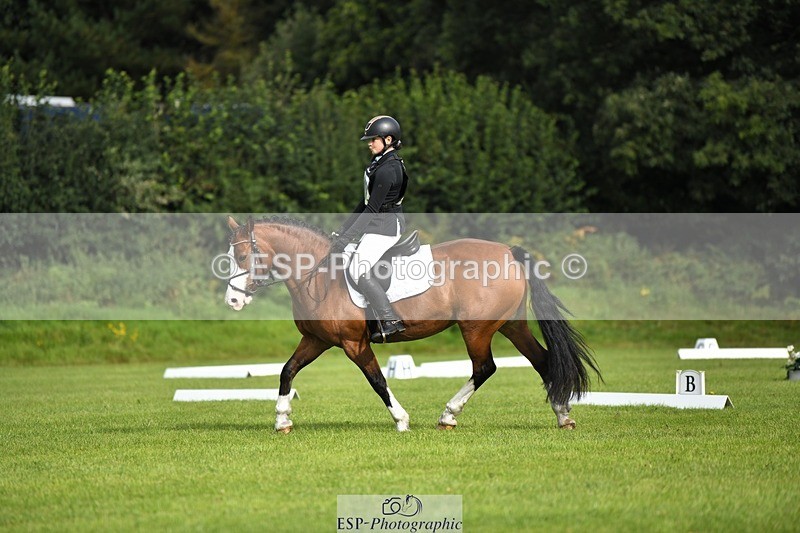 230826-094429-15214 - Sections C & D 9 to 10am