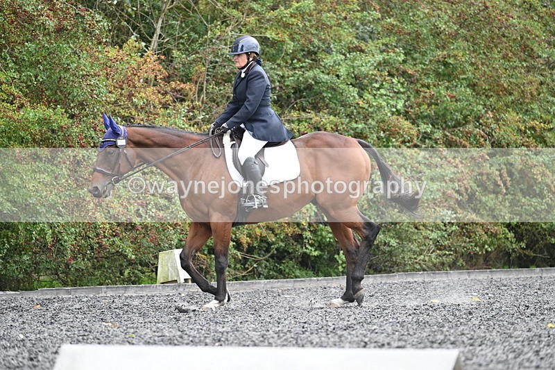 WJ7_6482 - Time 14:49 to 15:14