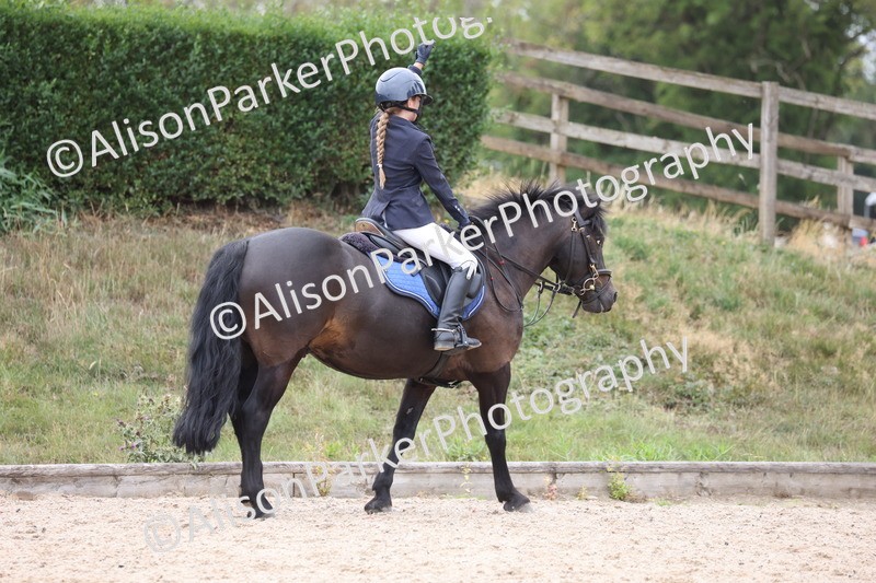 20250727-1715 - Class 5 - 80cm