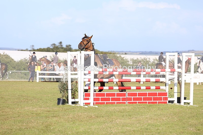 3E7A4499 - Class C: Showjumping Senior Foxhunter