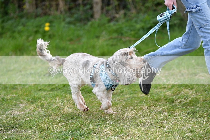 WJ5_0105 - Class 5 Best Veteran / 7 years & over