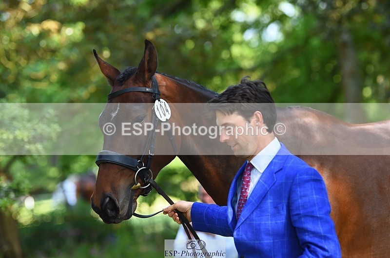 230524-162934-00906 - 104-GALAKIS_DE_L'OCEAN-Harry_Meade-WEDTrotUp+DR
