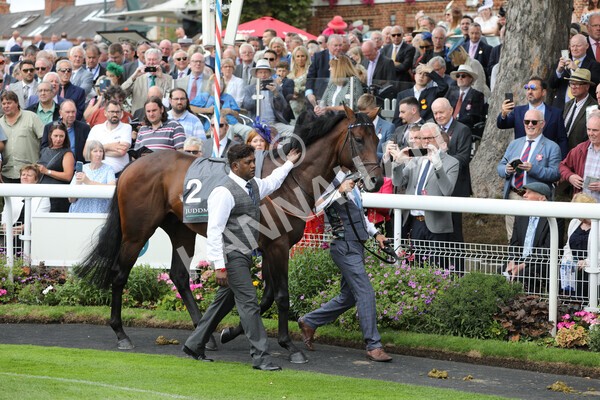 yr17082022r4-7 - Race 4 3.35pm Juddmonte International Stakes (British Champions Series Race)