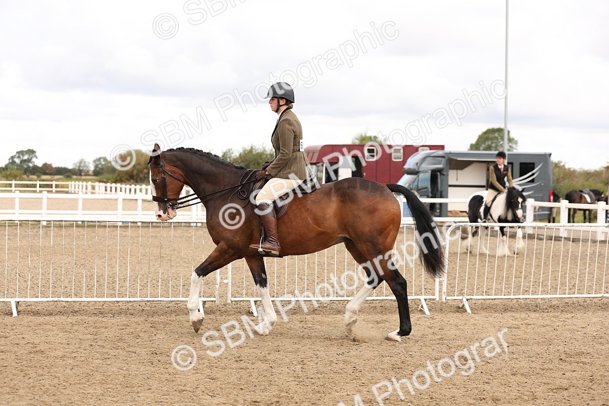 SBM_02872 - Class 53 - Ridden Competition Horse/Pony