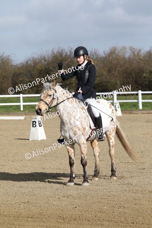 20260314-0165 - DR1 - Intro 1