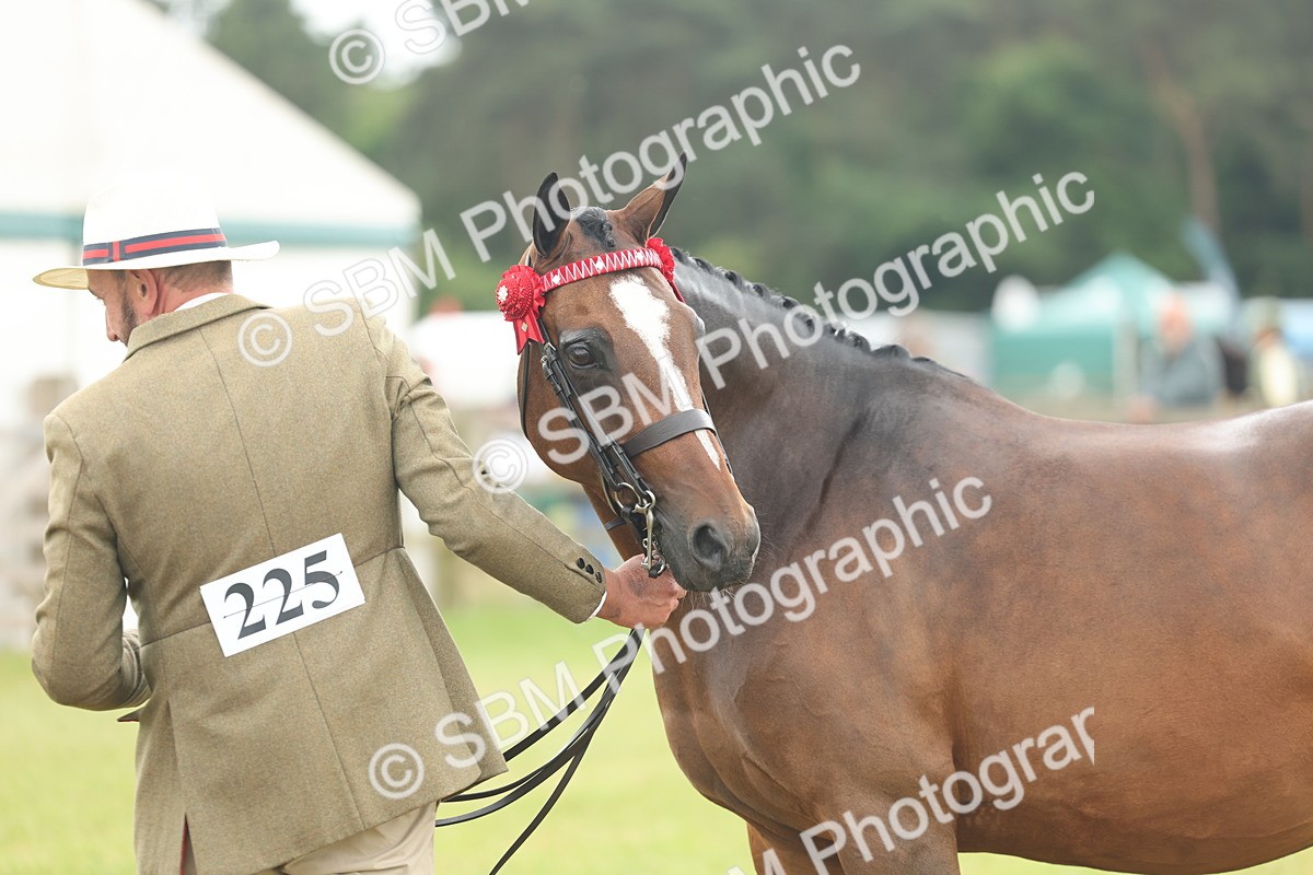 SBM_05517 - Class 68-73 - Riding Pony Breeding