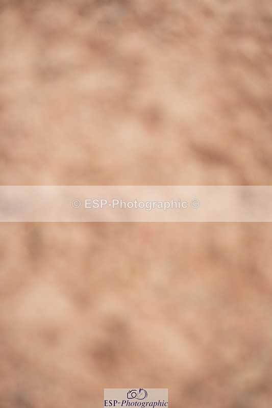 240628A-163242-00217 - Cls 1 Intro 80cm