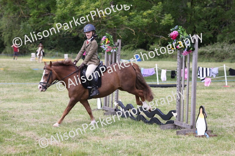 20260614-2087 - Class 21 - Novice Working Hunter Pony